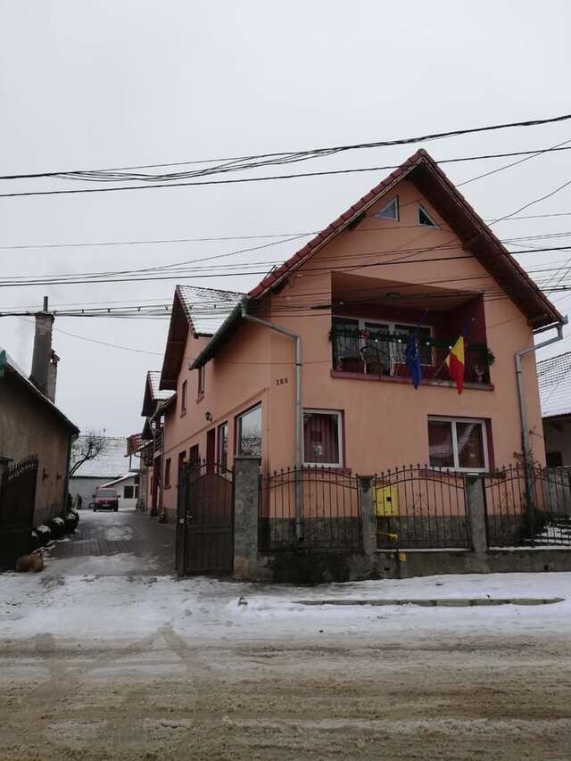 Гостевой дом Vila Vlăduț Зэрнешти-3