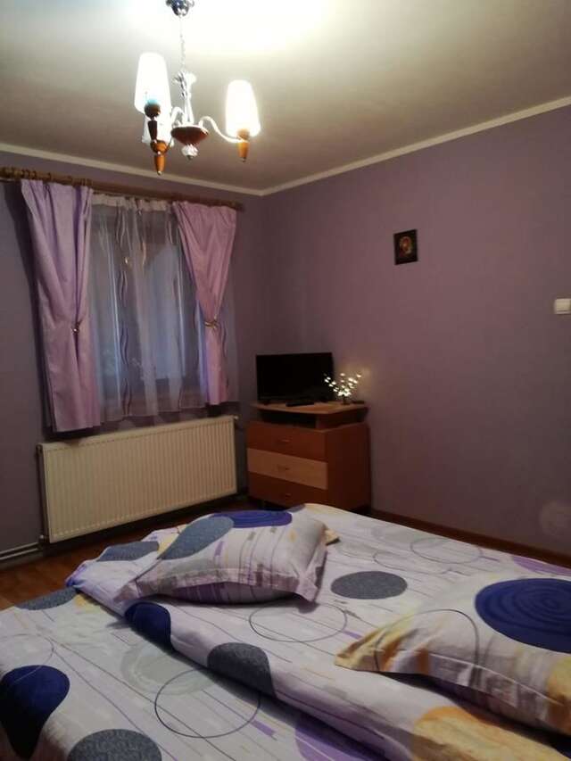Гостевой дом Vila Vlăduț Зэрнешти-4