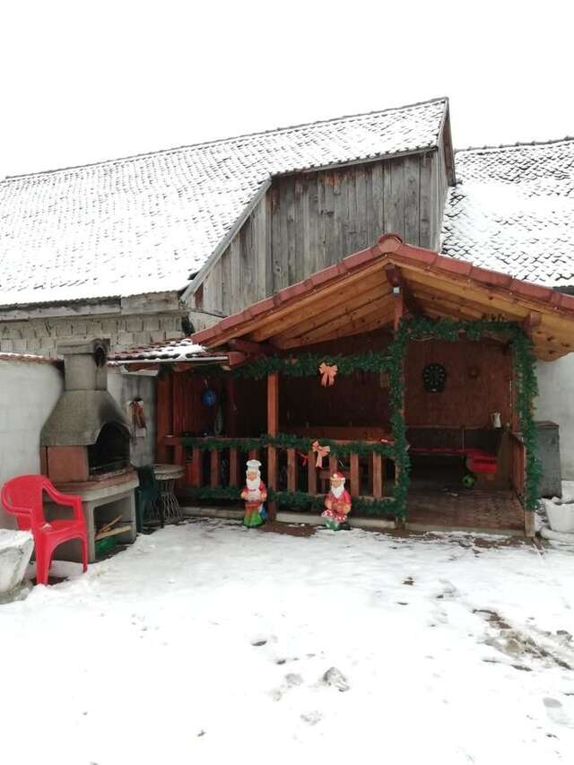 Гостевой дом Vila Vlăduț Зэрнешти-8